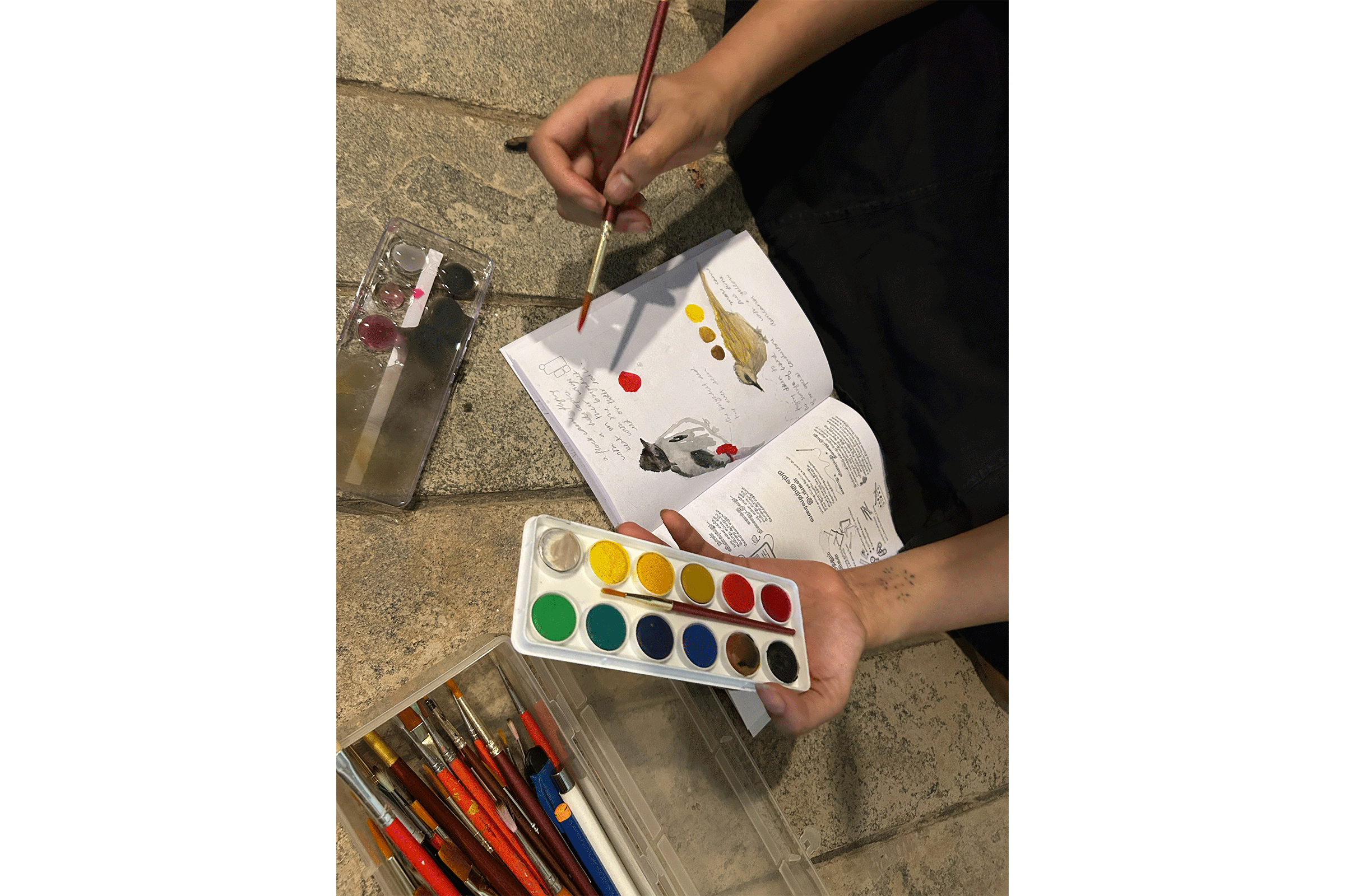Nature Journaling workshop